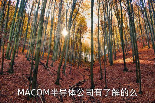 macom，macom公司是做什么的啊公司好不好呢