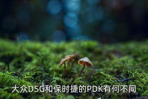 大众dsg和保时捷的pdk有何不同