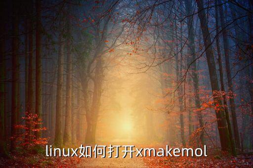 xmake，linux如何打开xmakemol