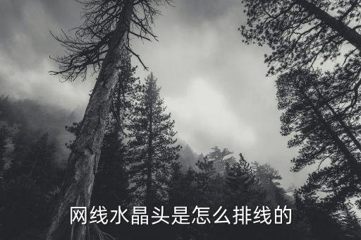 网线水晶头是怎么排线的