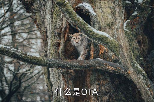 ota，什么是ota