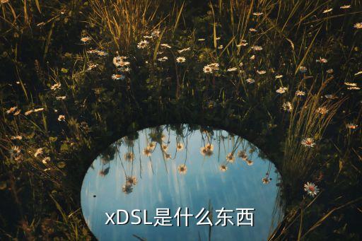 xdsl，xdsl是什么东西