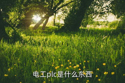 电工plc是什么东西