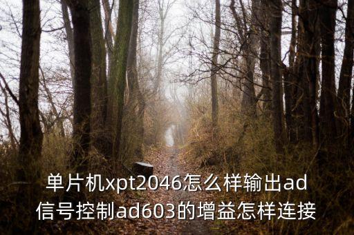 xpt2046，关于单片机ad转换芯片xpt2046的问题