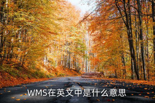 wms在英文中是什么意思