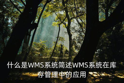 wms，什么是wms系统