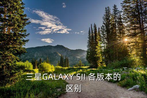 sii，三星galaxy sii 各版本的区别