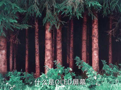 什么是oled屏幕