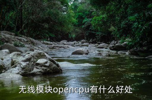 无线模块opencpu有什么好处