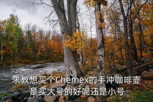 求教想买个chemex的手冲咖啡壶 是买大号的好呢还是小号