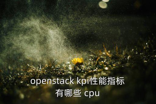 opencpu，无线模块opencpu有什么好处