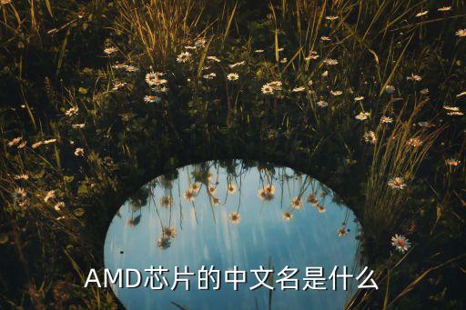 amd芯片，amd芯片的中文名是什么