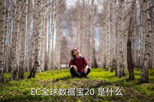 国际贸易统计数据库，ec全球数据宝20 是什么