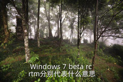 windows 7 beta rc rtm分别代表什么意思