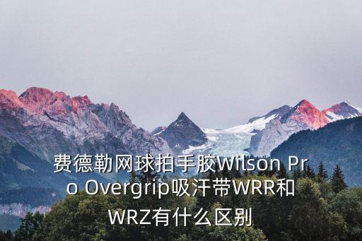 费德勒网球拍手胶wilson pro overgrip吸汗带wrr和wrz有什么区别