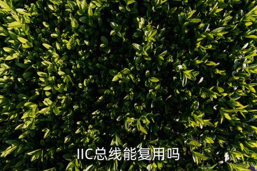 iic总线能复用吗