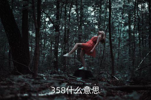 358什么意思