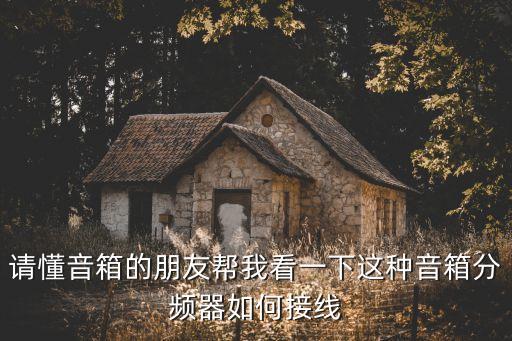 请懂音箱的朋友帮我看一下这种音箱分频器如何接线