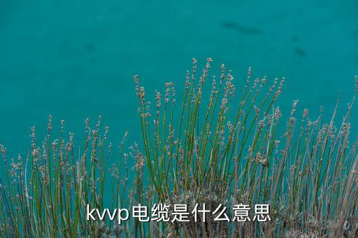 kvvp，kvvp是什么意思主要用途