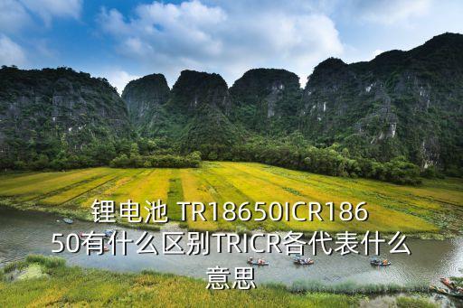 锂电池 tr18650icr18650有什么区别tricr各代表什么意思