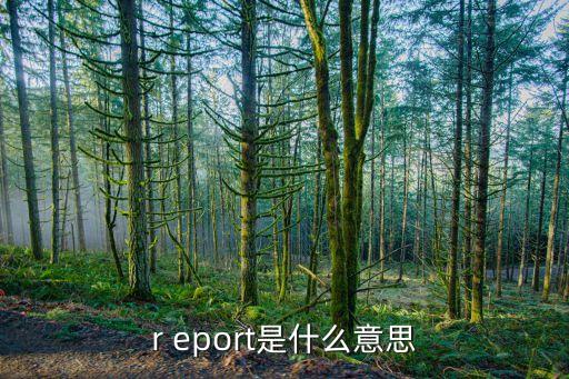 r eport是什么意思