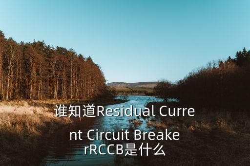 rccb，谁知道residual current circuit breakerrccb是什么