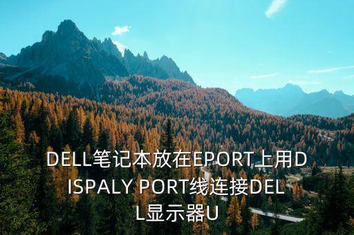 dell笔记本放在eport上用dispaly port线连接dell显示器u