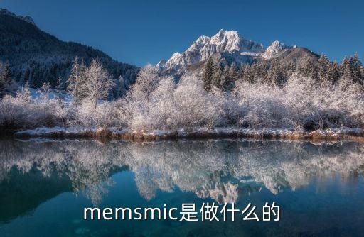 memsmic是做什么的