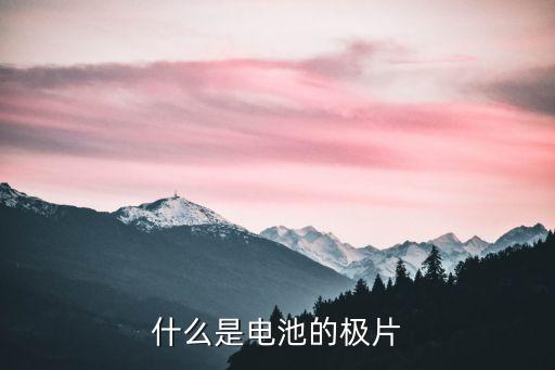 什么是电池的极片