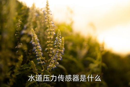 水道压力传感器是什么