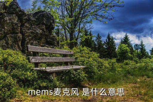 mems麦克风 是什么意思