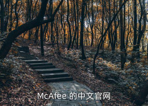 mcafee 的中文pg电子游戏试玩平台网站官网