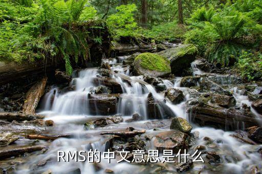 rms的中文意思是什么