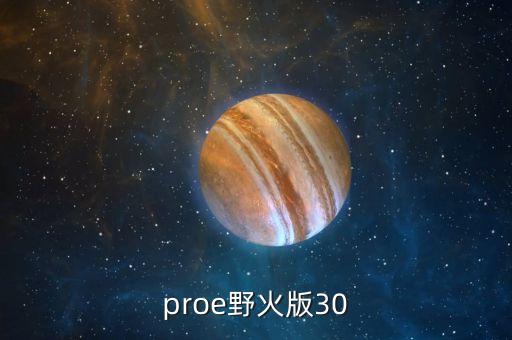 proe野火版30