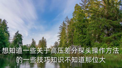 想知道一些关于高压差分探头操作方法的一些技巧知识不知道那位大