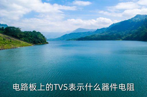 tvs，汽车tvs是什么系统