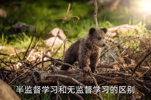 非监督学习，半监督学习和无监督学习的区别