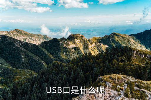 usb口是什么呢