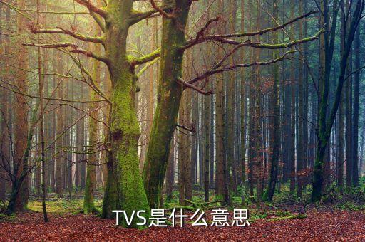 tvs是什么意思