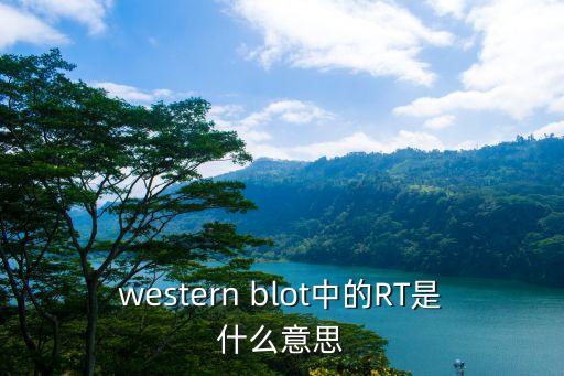 western blot中的rt是什么意思