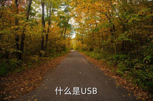 什么是usb