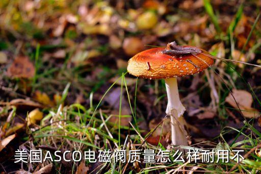 美国asco电磁阀质量怎么样耐用不