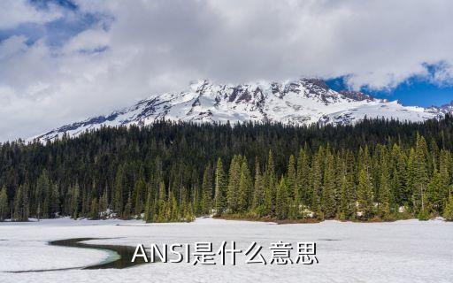 ansi是什么意思