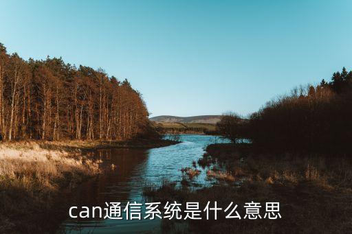 can通信系统是什么意思