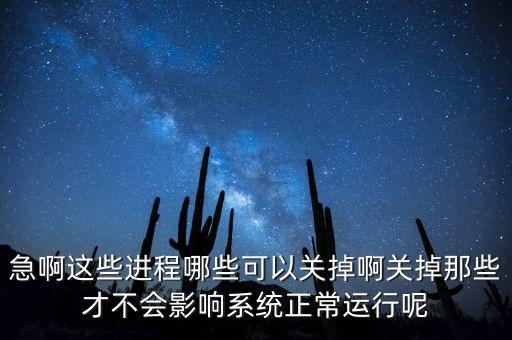 急啊这些进程哪些可以关掉啊关掉那些才不会影响系统正常运行呢