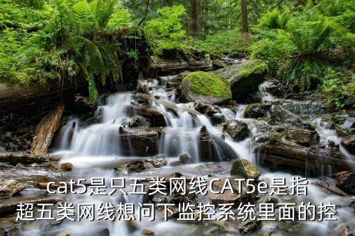 cat5是只五类网线cat5e是指超五类网线想问下监控系统里面的控