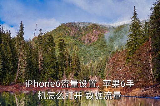 iphone6流量设置, 苹果6手机怎么打开 数据流量