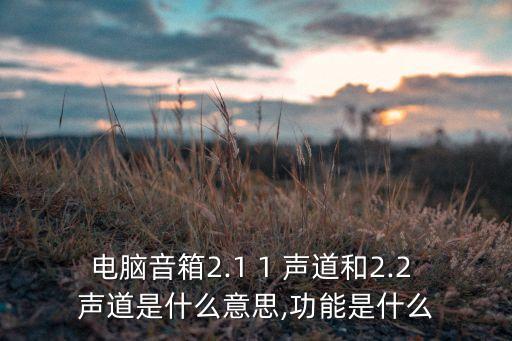 电脑音箱2.1 1 声道和2.2 声道是什么意思,功能是什么