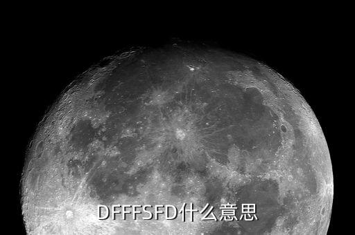 dfffsfd什么意思