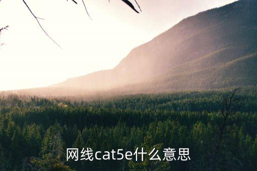 cat5e，网线cat5e什么意思